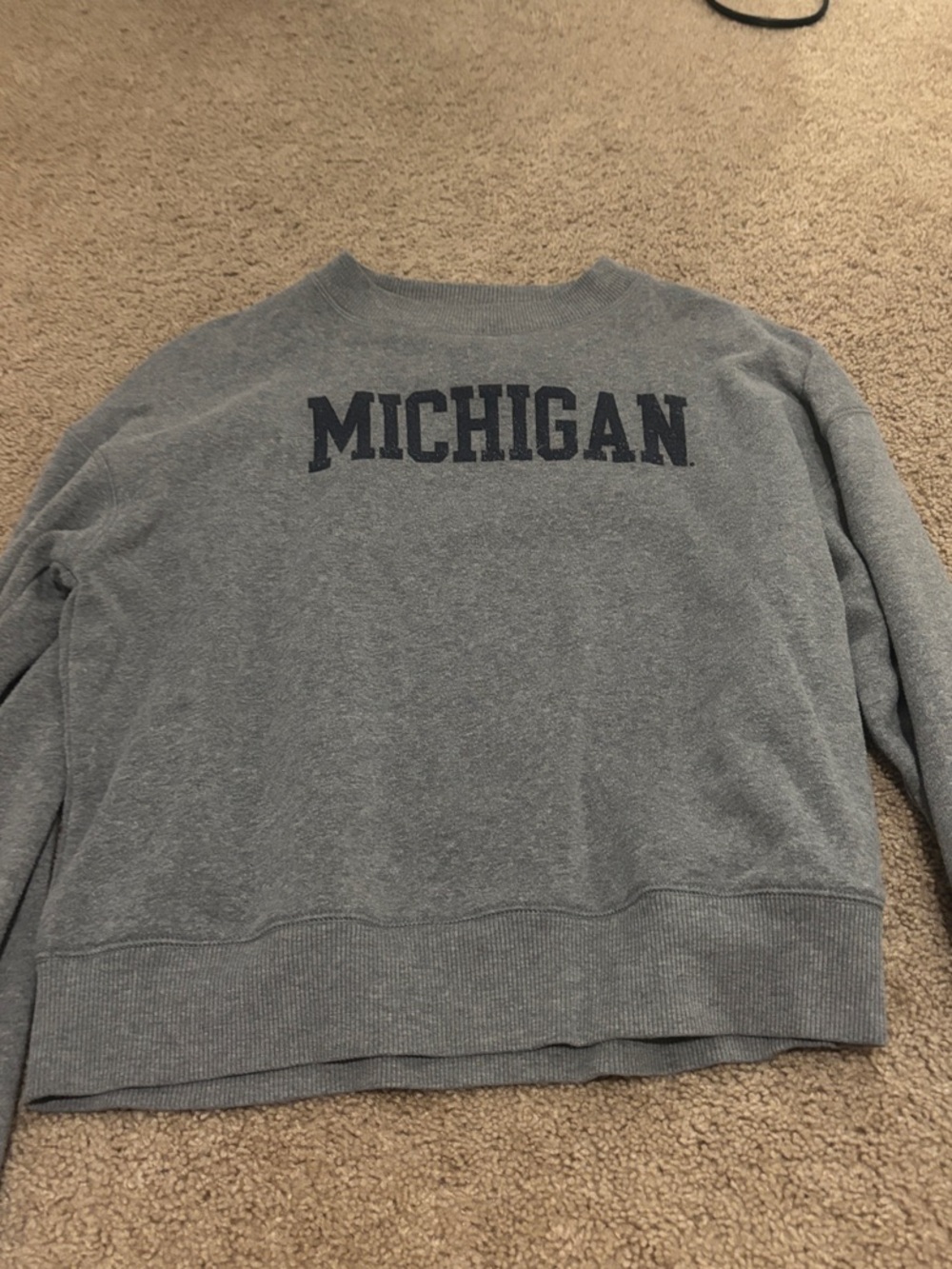 Champion Gray Michigan Crewneck Sweatshirt